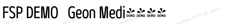 FSP DEMO   Geon Medi字体转换